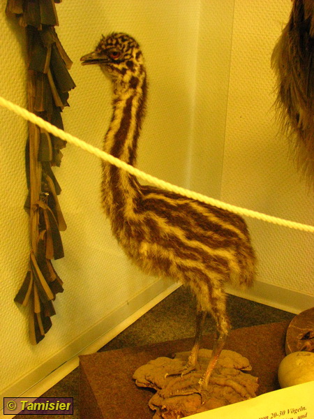 2008-06-08 14-54-47.JPG - Expeditionsmuseum